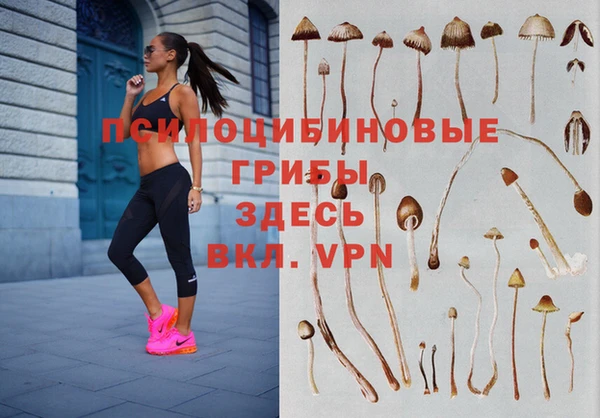 соль курить ск Абинск