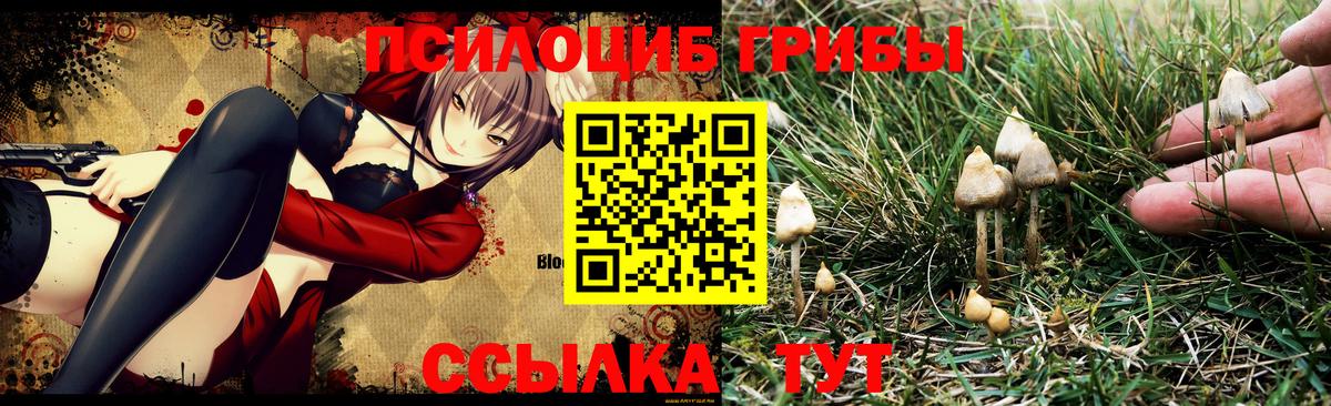 Псилоцибиновые грибы GOLDEN TEACHER Лесозаводск